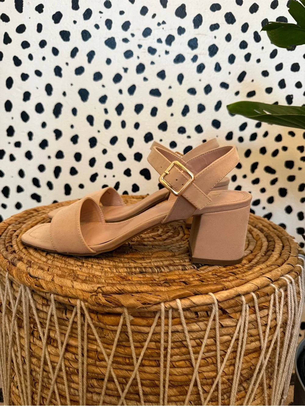 Arula Neutral Block Heel Sandal with Gold Buckle - Picture 1 of 5